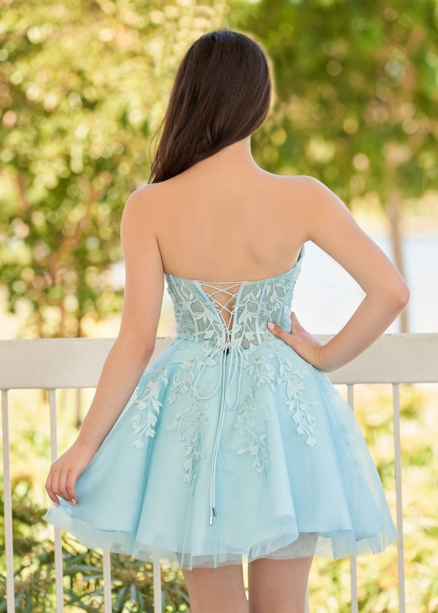 A-line Tulle Lace Homecoming Dresses with Appliques