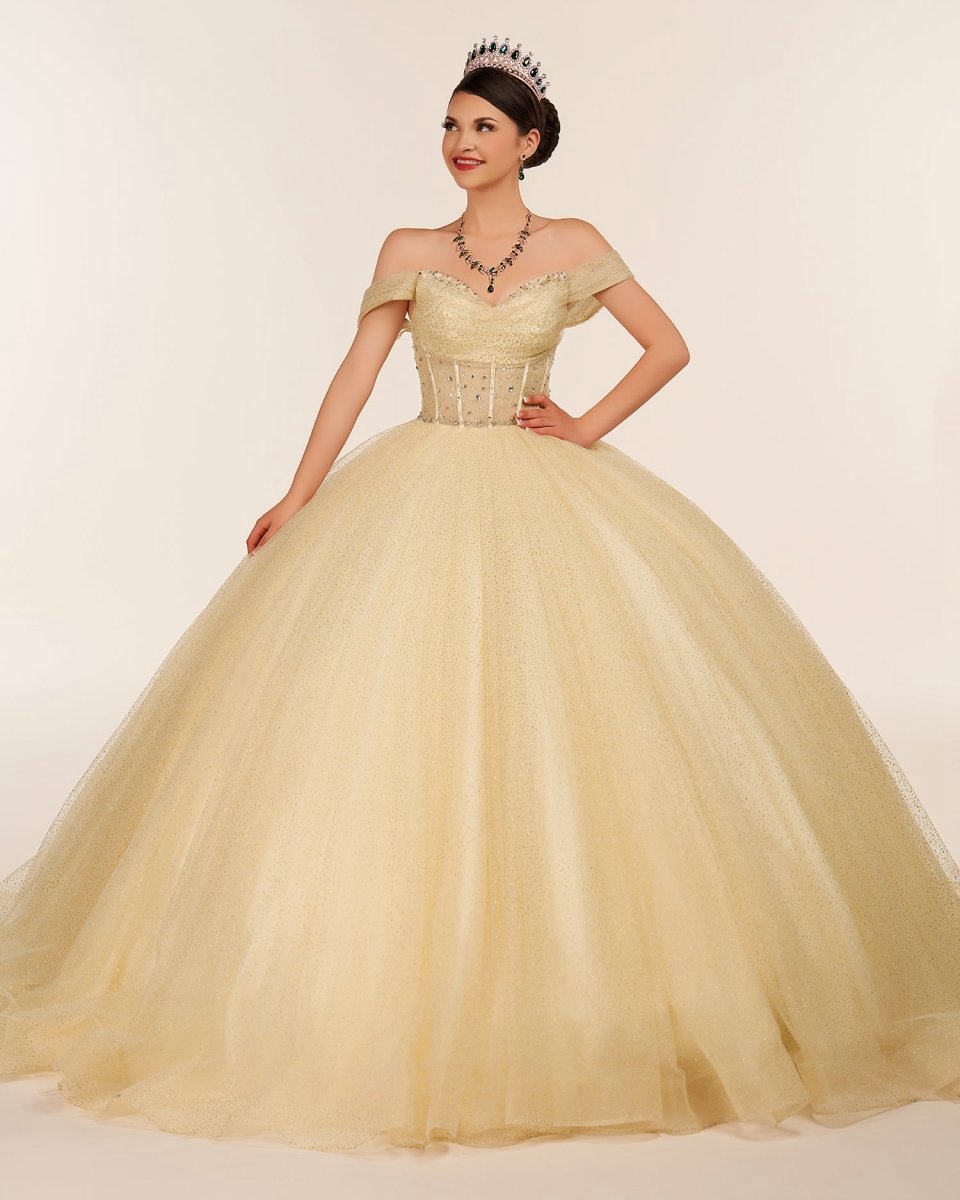 Ball Gown Tulle Off-the-Shoulder Quincenara Dresses