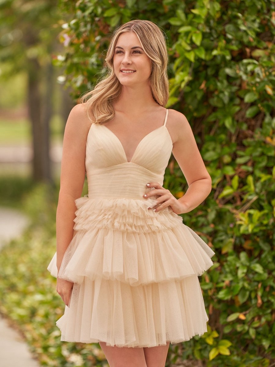 A-line Deep V Neck Tie Short Homecoming Dresses
