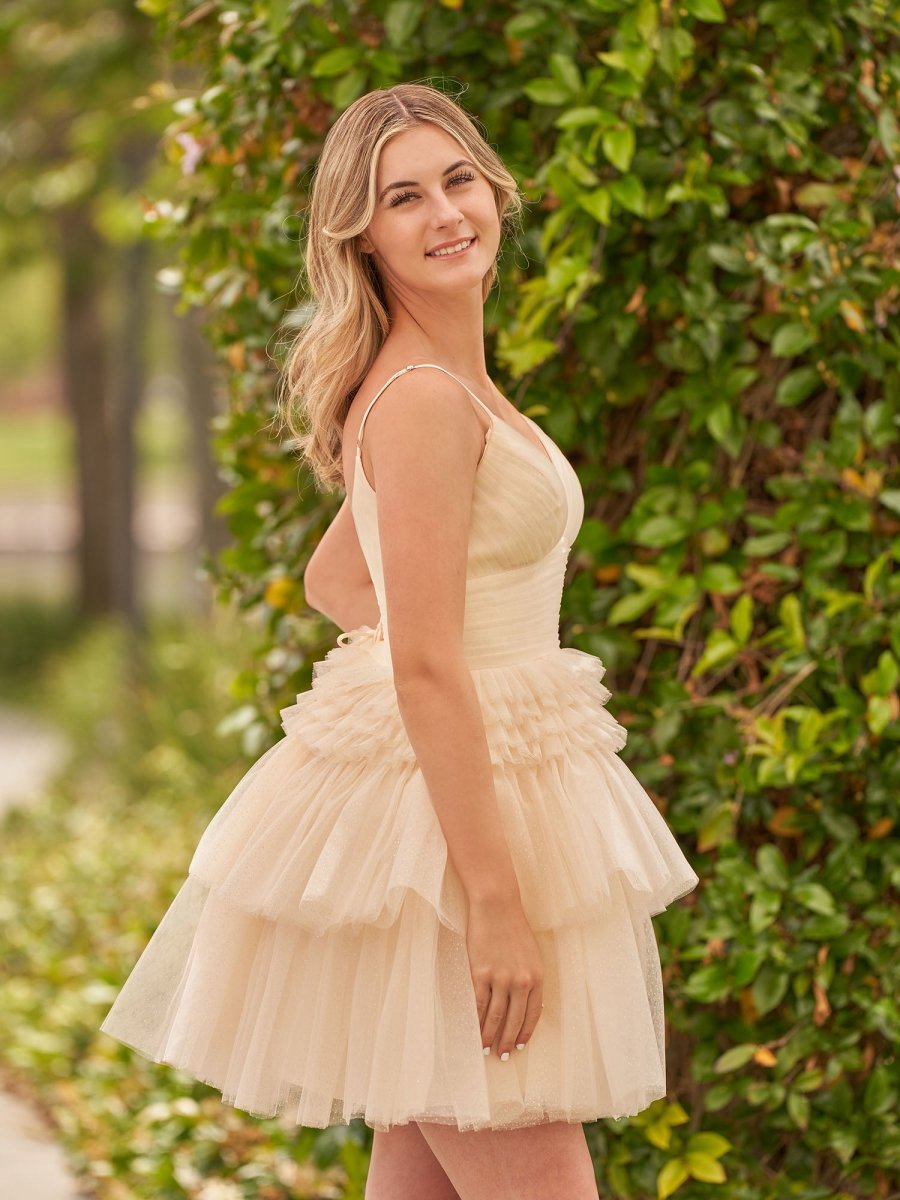 A-line Deep V Neck Tie Short Homecoming Dresses