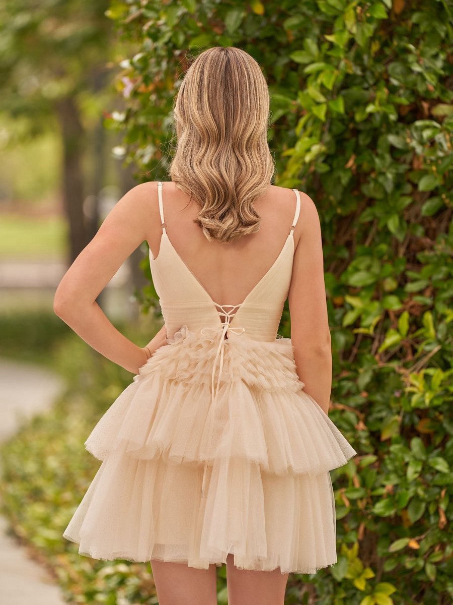 A-line Deep V Neck Tie Short Homecoming Dresses