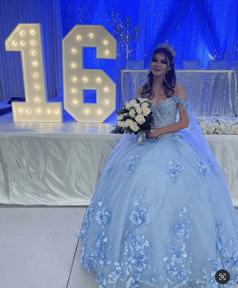 Long Dresses 3D Applique Off Shoulder Ball Gown Quinceanera Dresses