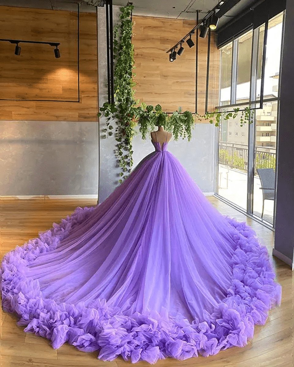A-line V Neck Tulle Ball Gown Princess Dresses