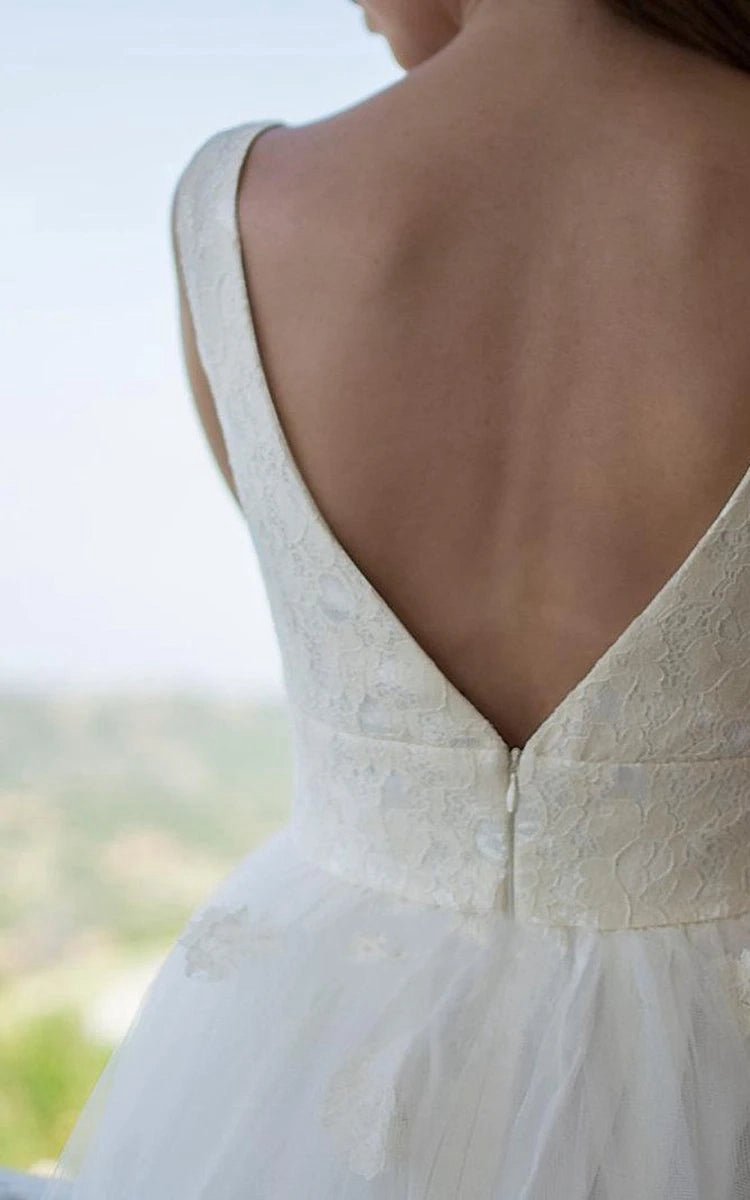1950S Vintage Deep V Back Sleeveless Short Tulle Wedding Dresses