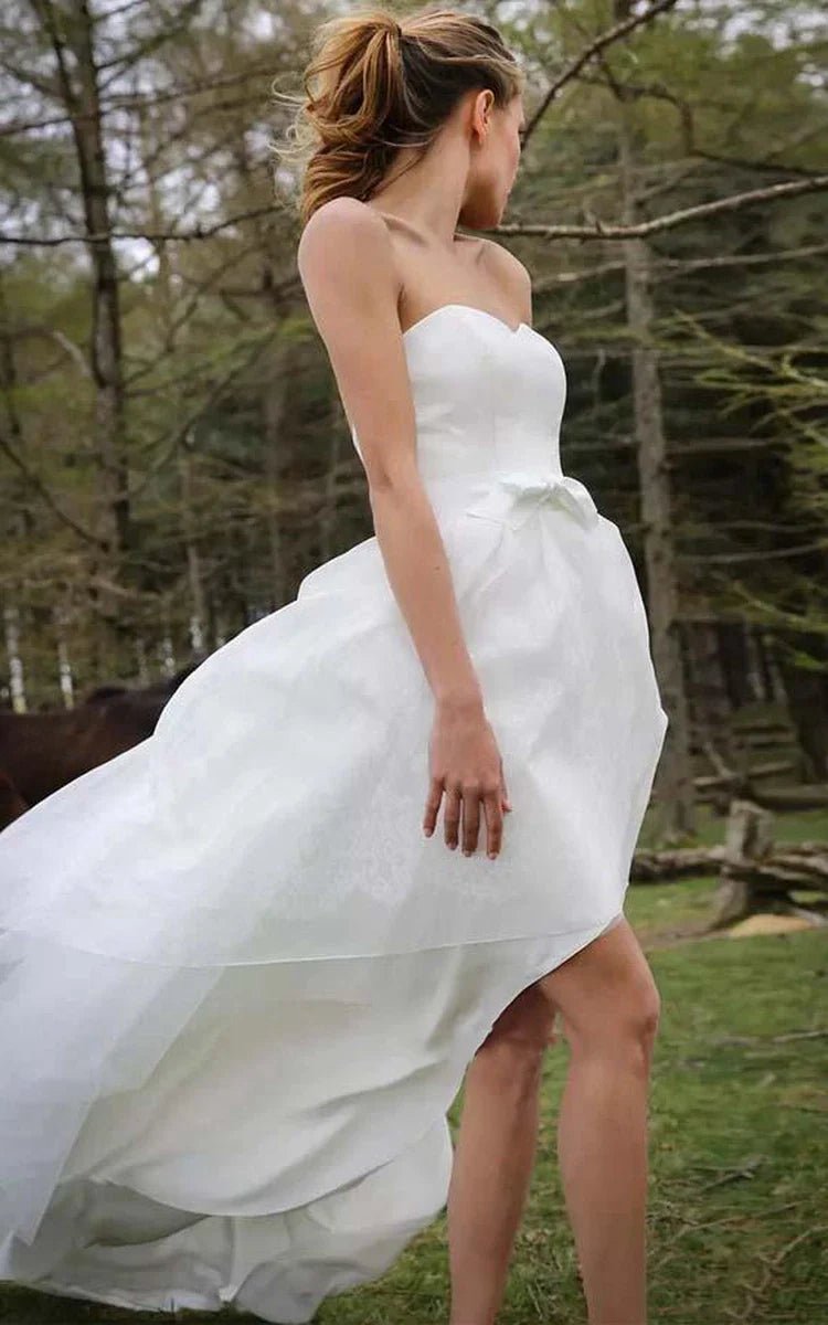 Special High Low Asymmetrical Sweetheart Sleeveless Organza Applique Wedding Dresses