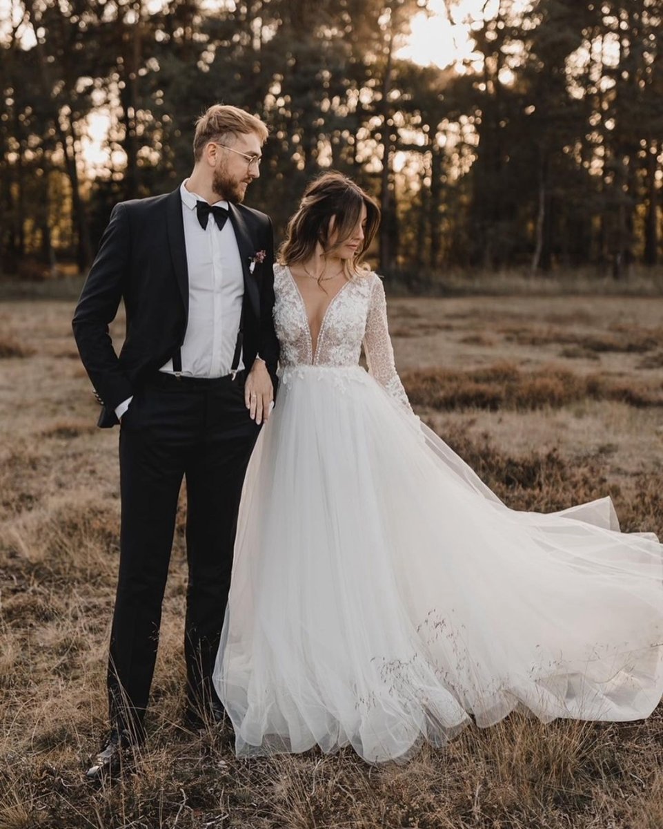Elegant A-line V Neck Tulle Wedding Dresses with Lace