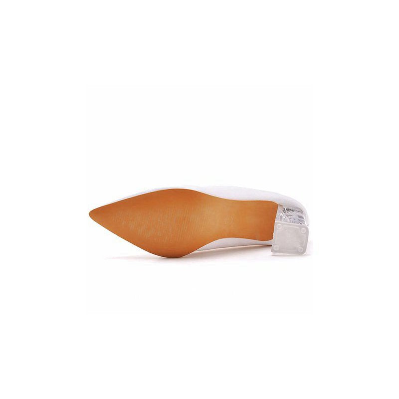 Simple Pointed Toe Transparent Block Heels