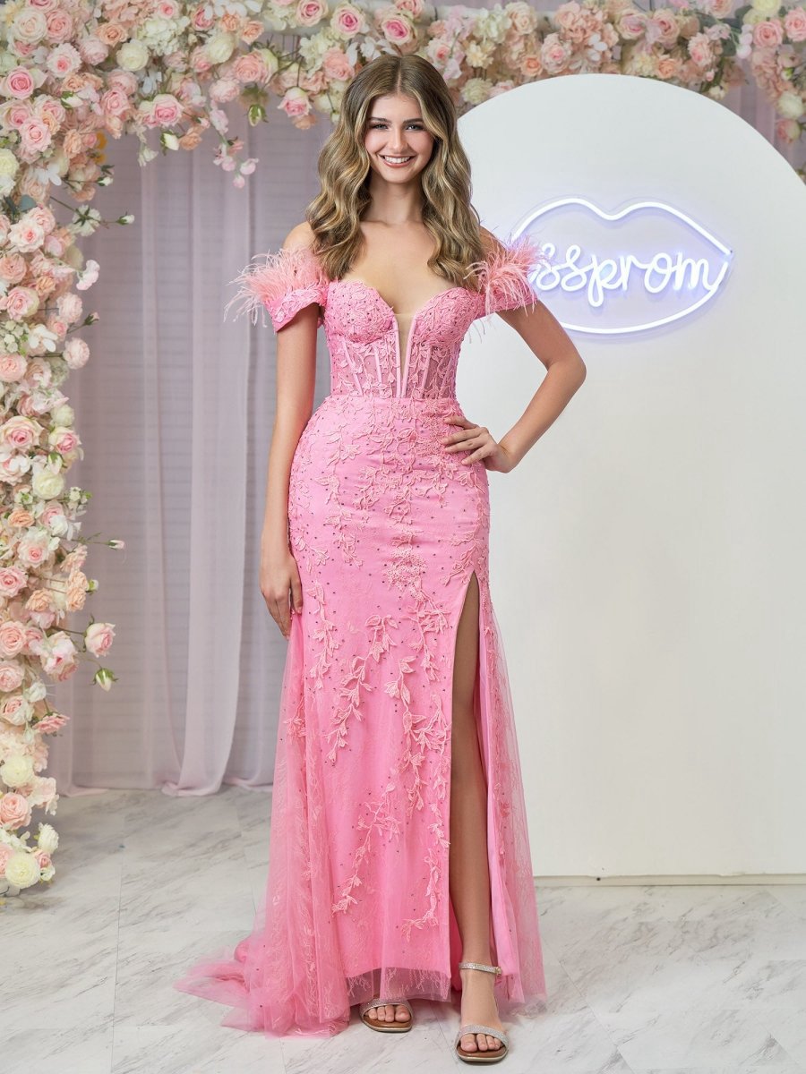 Mermaid Deep V Neck Feather Lace Long Prom Dresses
