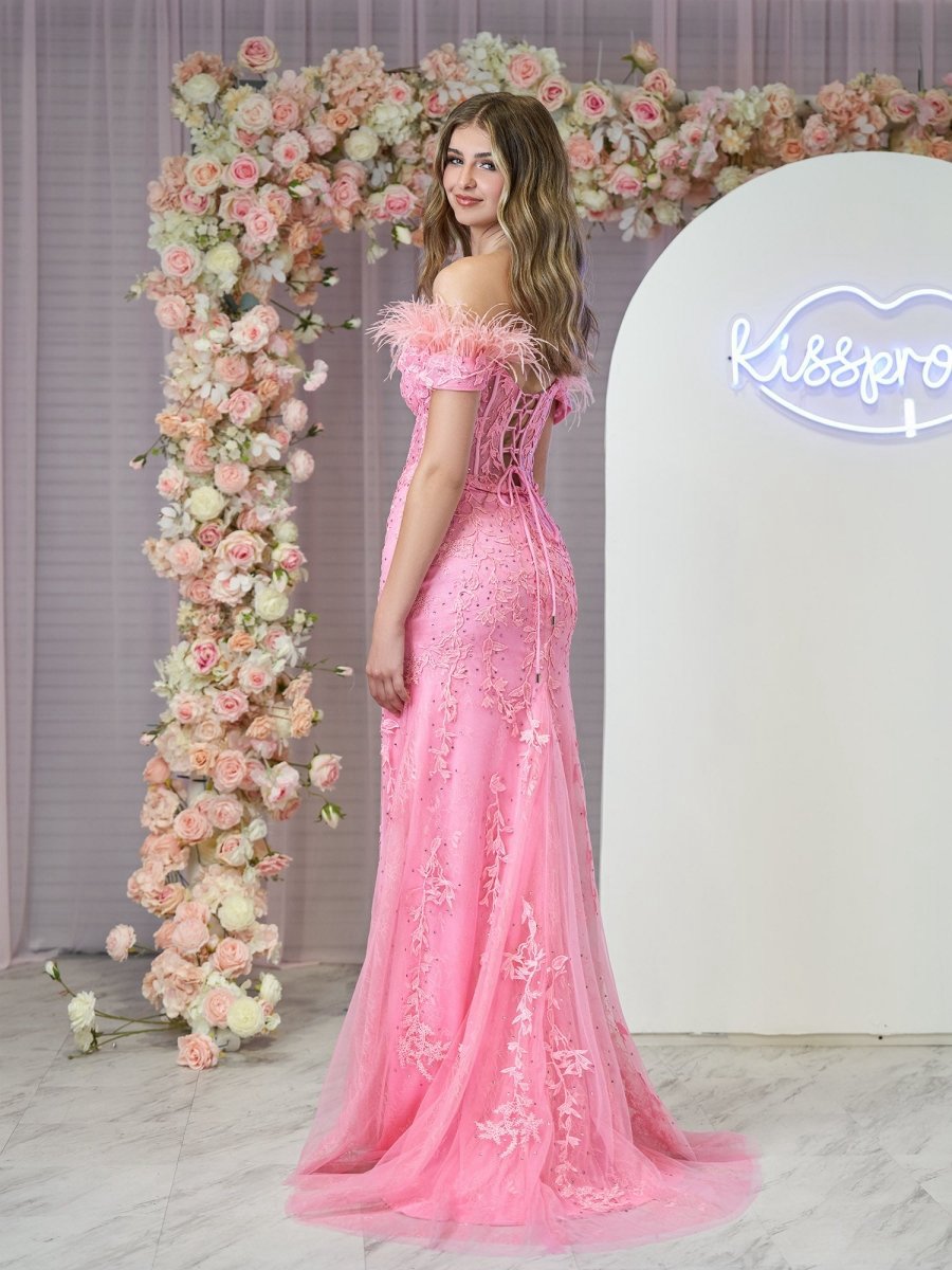 Mermaid Deep V Neck Feather Lace Long Prom Dresses