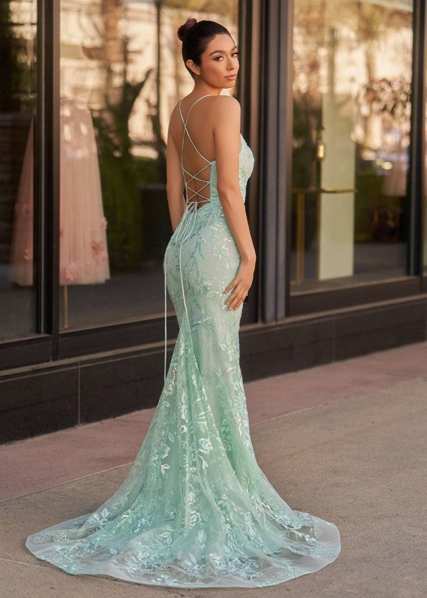 Mermaid Scoop Lace Long Prom Dresses