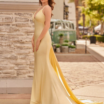 Mermaid V-Neck Satin Prom Dresses with Tail Evening Dresses