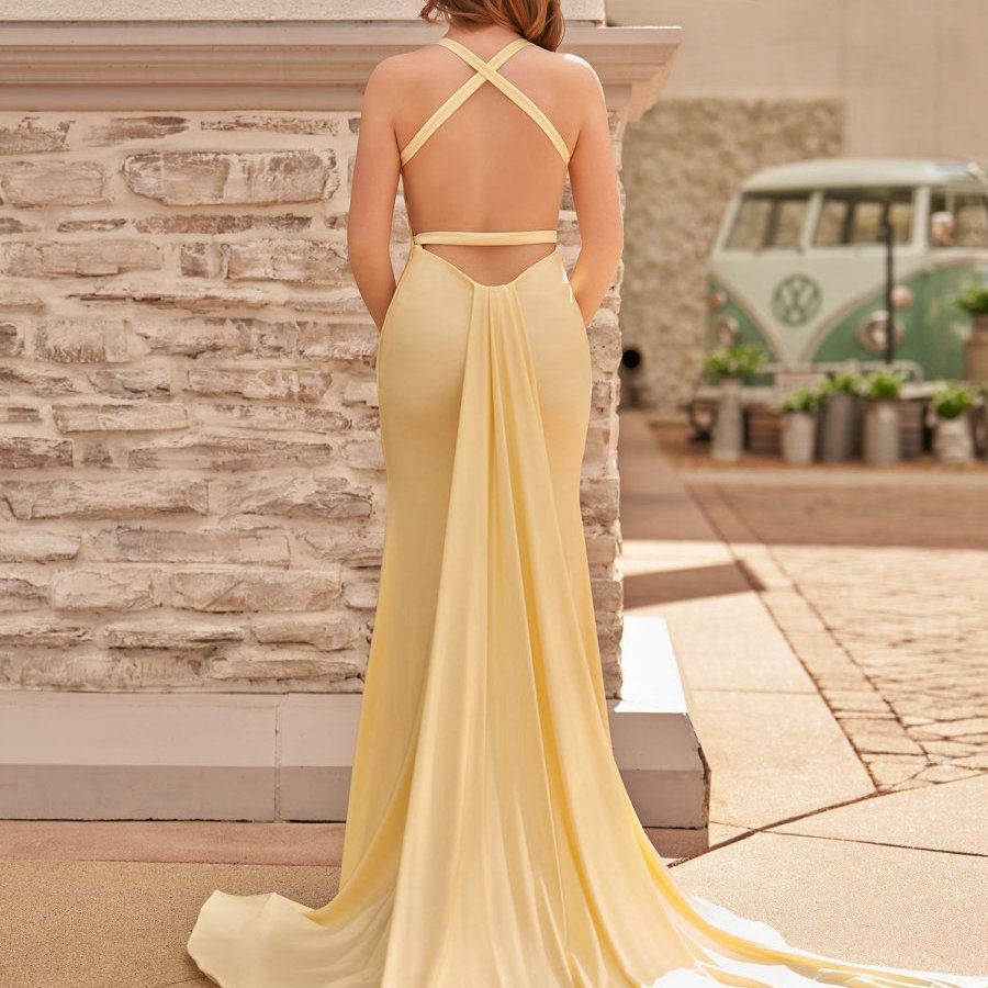 Mermaid V-Neck Satin Prom Dresses with Tail Evening Dresses