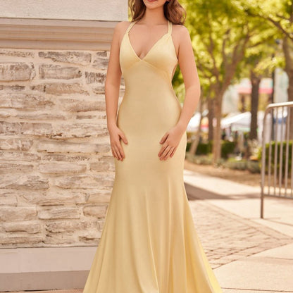 Mermaid V-Neck Satin Prom Dresses with Tail Evening Dresses