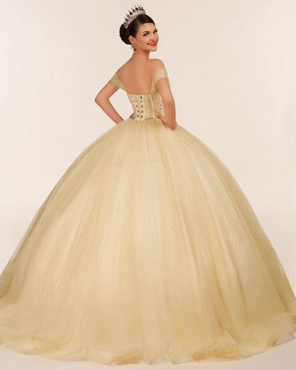Ball Gown Tulle Off-the-Shoulder Quincenara Dresses