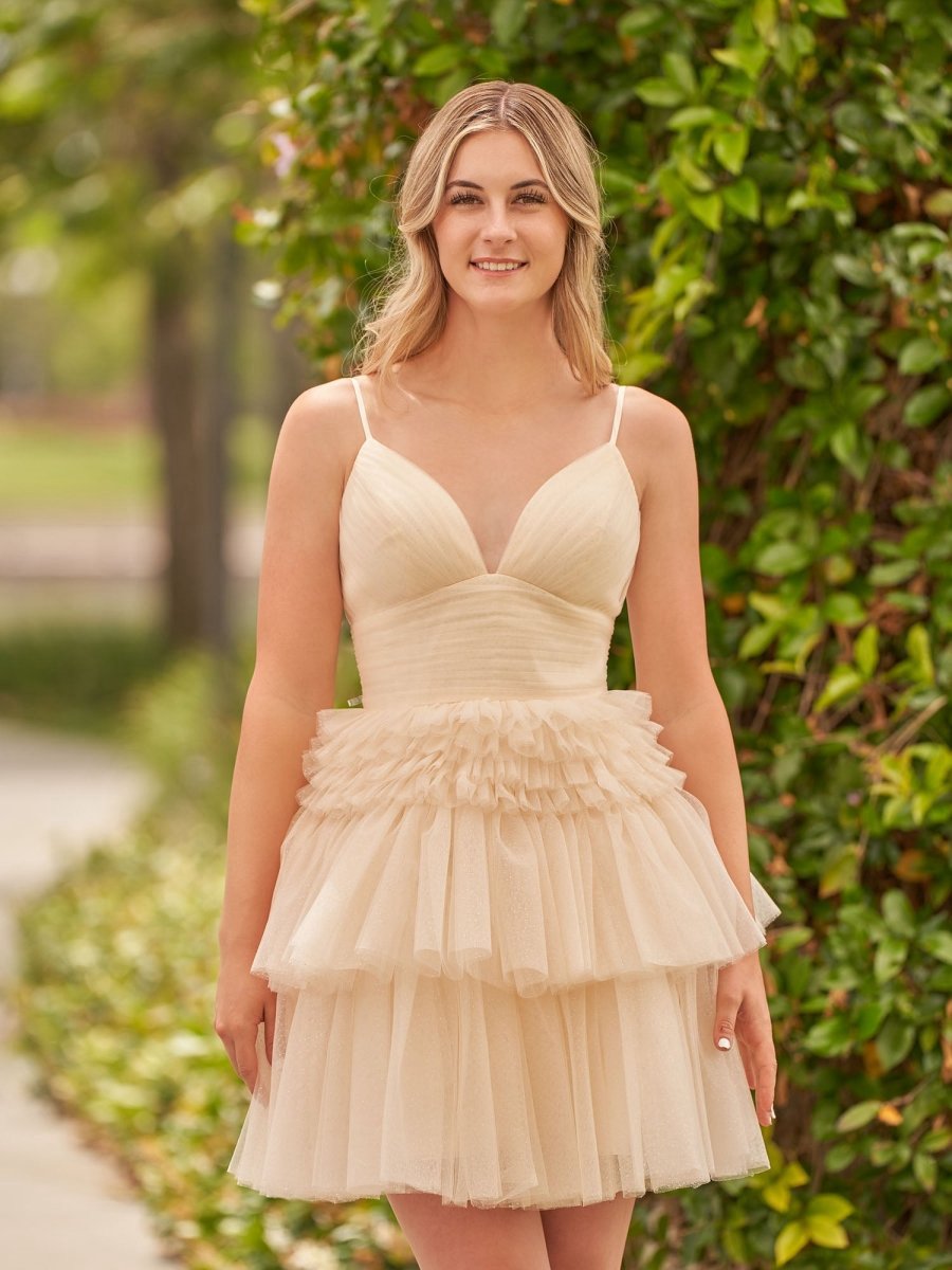 A-line Deep V Neck Tie Short Homecoming Dresses