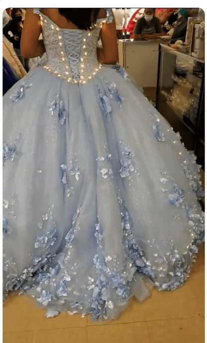 Long Dresses 3D Applique Off Shoulder Ball Gown Quinceanera Dresses