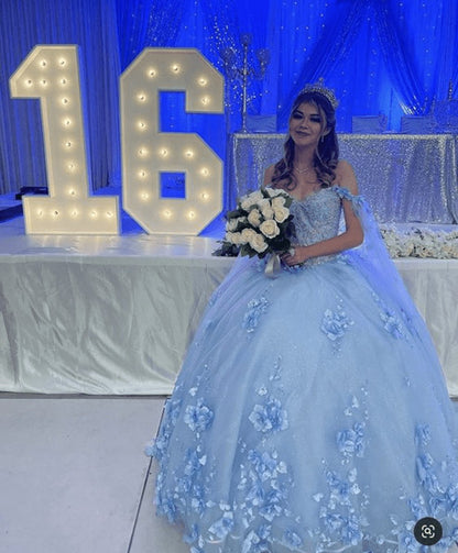 Long Dresses 3D Applique Off Shoulder Ball Gown Quinceanera Dresses
