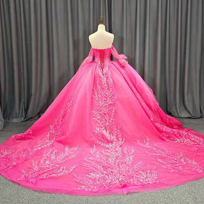 Lace Sequins Ball Gown Quinceañera Dresses