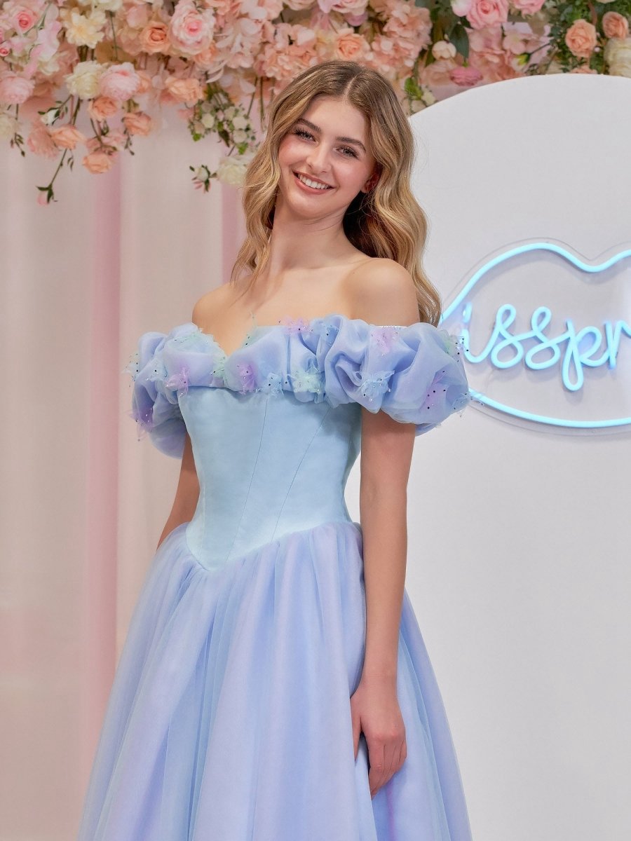 Cinderella Tulle Off the Shoulder with Crystals & Butterflies Ball Gown