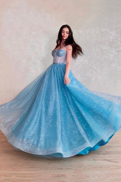 Tulle Long A-line Prom Dresses Lace-Up Evening Dresses with Corset