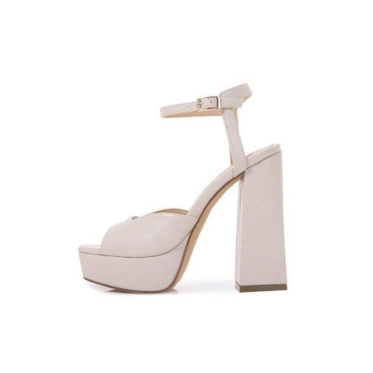 Chunky Heeled Ankle Strap Platform Sandal