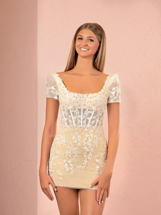 Short Bodycon Lace Homecoming Dresses