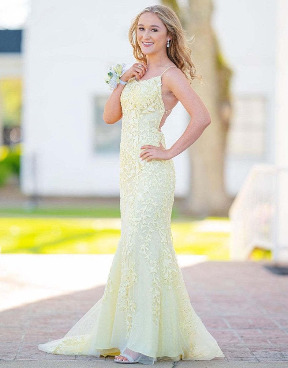 Mermaid Spaghetti Straps Lace Prom Dresses
