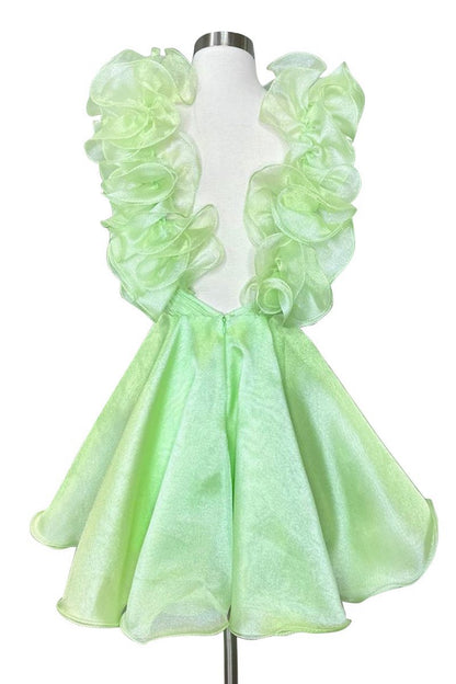 A-line Organza V Neck Homecoming Dresses